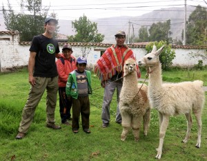 Llama_Trek_Peru_8