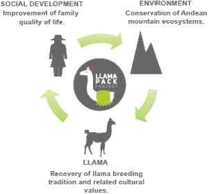 Llama pack development cycle